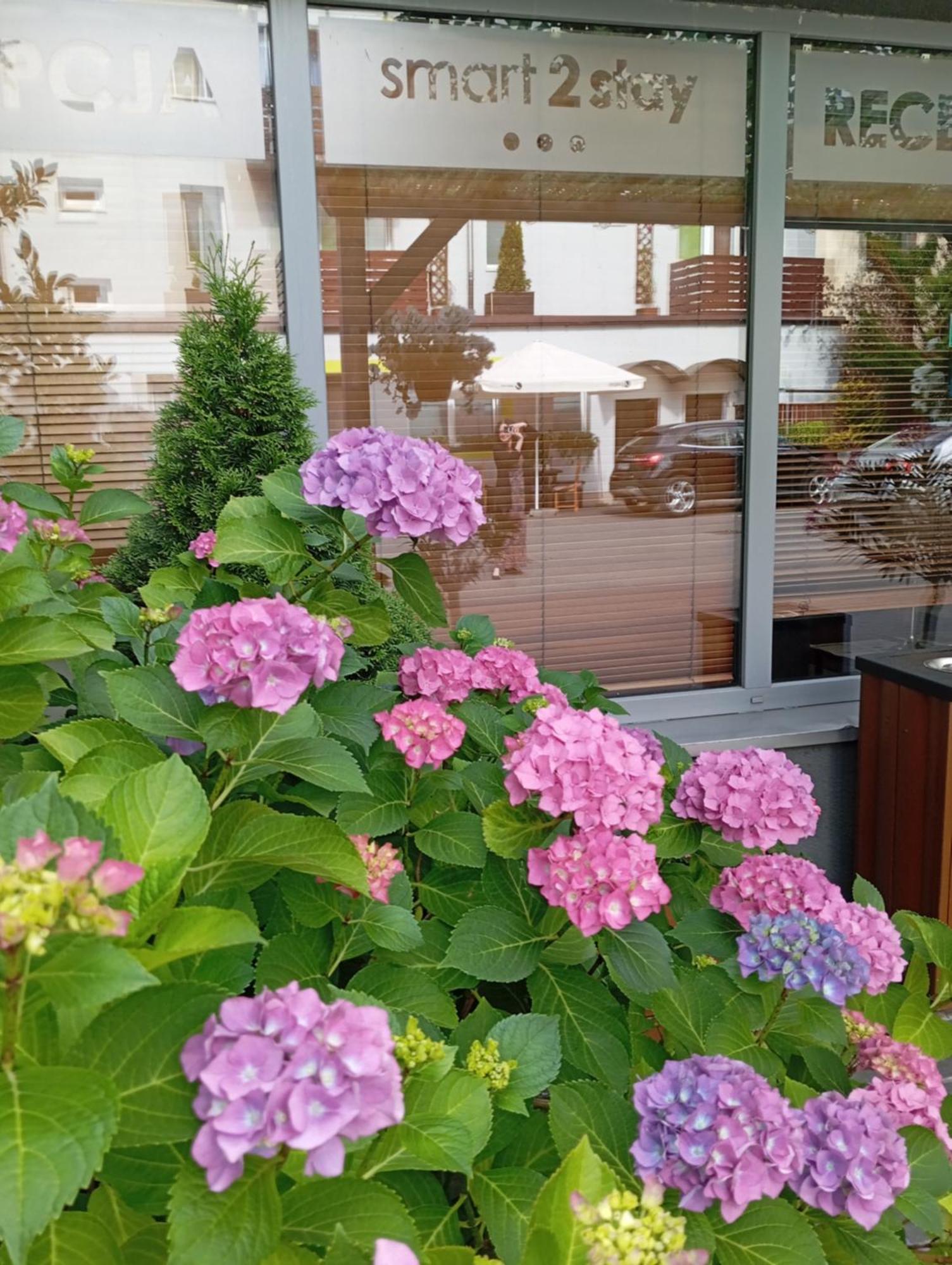 Smart2Stay Magnolia وارسو المظهر الخارجي الصورة